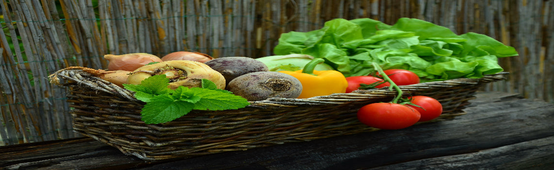 Vegetables & Fruits