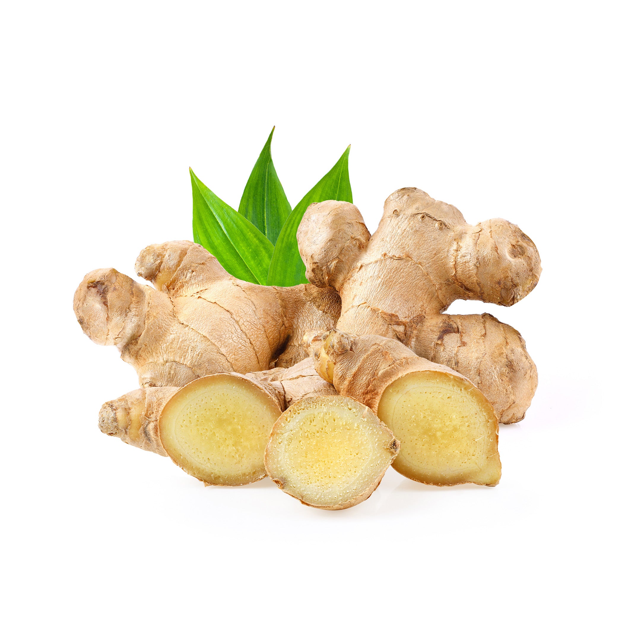 Ginger
