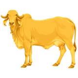 Gau Mata Kit
