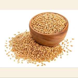 Hybrid Gehu(SR 14)(हाइब्रिड गेहु)