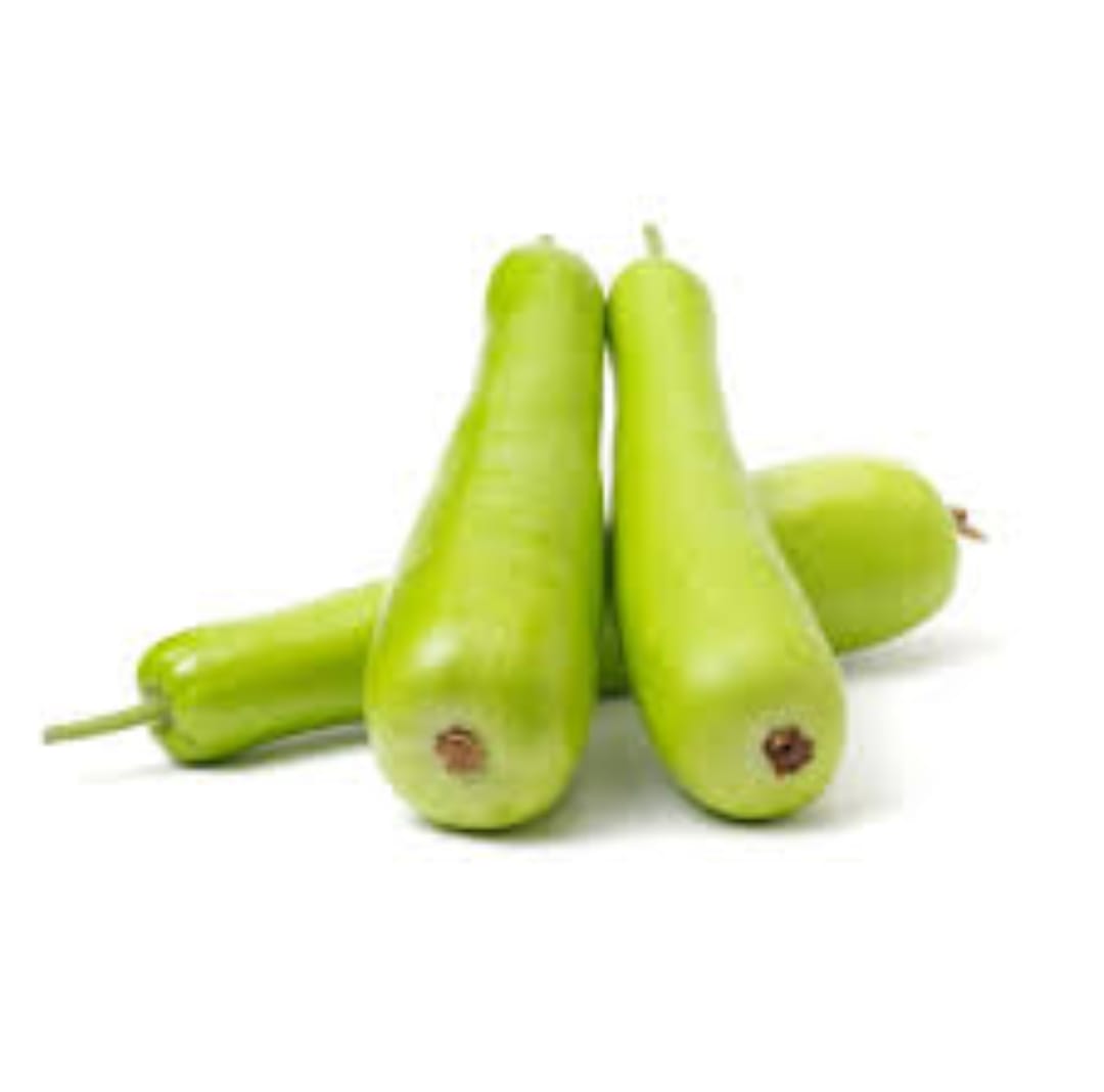 Bottle Gourd (लोकी) 1nos