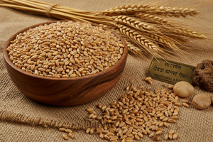 Desi Bansi Gehu (देसी बांसी)